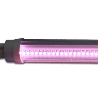 LED трубка PROLUMEN T8 150cm MEAT 230V 25W 2700lm CRI85 G13 120° IP20