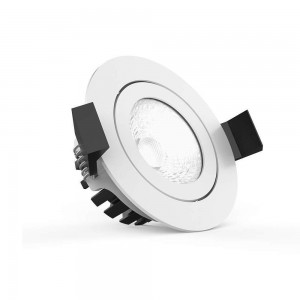 Локальный LED светильник PROLUMEN CL102B 2.5 TRIAC белый круглый 230V 10W 870lm CRI80 36° IP65 3000K теплый белый