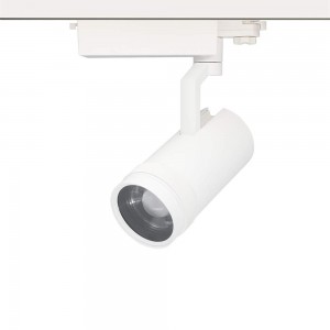 LED-kiskovalaisin PROLUMEN Luxembourg DALI DIM valkoinen 230V 30W 2500lm CRI90 12-60° IP20 3000K lämmin valkoinen