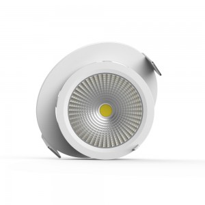 Локальный LED светильник PROLUMEN DL31-6 DALI белый круглый 230V 25W 1805lm CRI80 45° IP20 3000K теплый белый