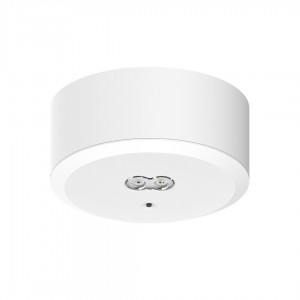 LED security light PROLUMEN LED Emergency M2, 3h DALI white round 230V 3.5W 240lm IP20 750