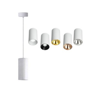 LED ceiling light PROLUMEN Newcastle (with silver ring) (with 1m cable) white 230V 25W 2500lm CRI80 40° IP20 3000K warm white