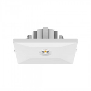 LED светильник для аварийного освещения PROLUMEN 3W 3h AT белый 230V 3.5W 240lm IP20 750
