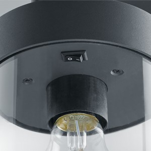 Pollarvalgusti Trio Lighting Sambesi hämaranduriga antratsiit E27 IP44