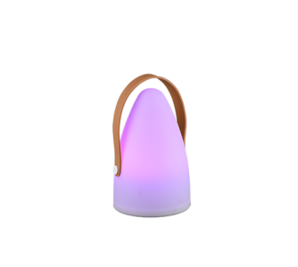 Перезаряжаемая настольная лампа Trio Lighting Haiti белый 1W 70lm IP44 RGB + 3000K RGBW тепло