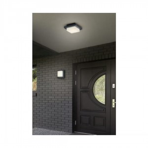 Facade light Trio Lighting Hondo anthracite 3.5W 330lm IP54 3000K warm white