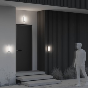 Facade luminaire Maytoni Badd graphite 10W 700lm 155° IP54 830