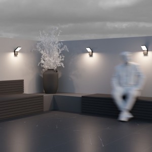 Facade luminaire Maytoni Paso black 12W 865lm 97° IP54 830