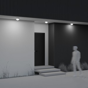 Потолочный светильник Maytoni Mon графит 12W 1100lm 152° IP65 830