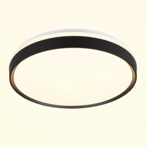 Plafoon Spacy must 33W 3800lm IP20 2700K-6500K WARM TO COLD