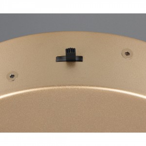 Rippvalgusti Trio Lighting Darvin kuldne ümar 52W 6700lm IP20 2300K, 3000K, 4000K 3CCT