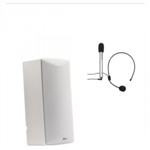  võrgukõlar POE + pea monitor