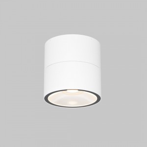 Spotvalgusti Maytoni Spin valge 5W 480lm 35° IP54 830