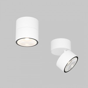 Spotvalgusti Maytoni Spin valge 5W 480lm 35° IP54 830