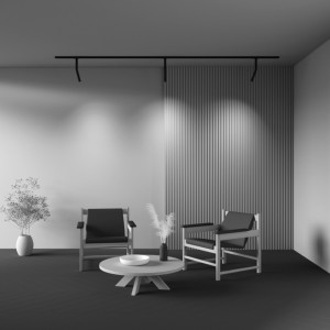 Однофазный трековый светильник Maytoni Unity Focus Dual черный 230V 6W 460lm 36° IP20 930