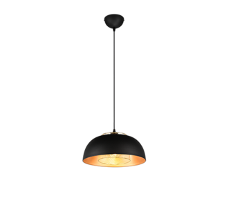Rippvalgusti Trio Lighting Punch must / kuldne E27