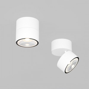 Julkisivuvalaisin Maytoni Spin valkoinen 12W 1050lm 55° IP54 930