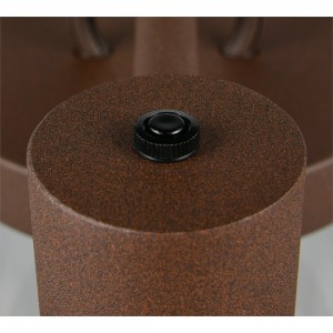 Pollarvalgusti Trio Lighting Sambesi 3 hämaranduriga rustik E27 IP44