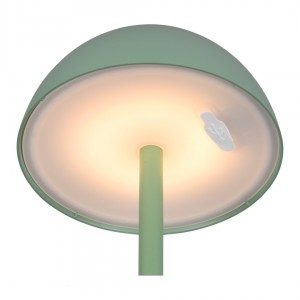 Laetav lauavalgusti Trio Lighting Ricardo roheline 1,7W 240lm IP54 3000K soe valge