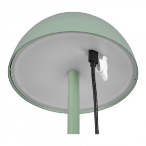 Laetav lauavalgusti Trio Lighting Ricardo roheline 1,7W 240lm IP54 3000K soe valge