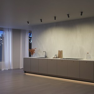 Valgusti raam Maytoni Artisan must GU10 IP20 TRIAC