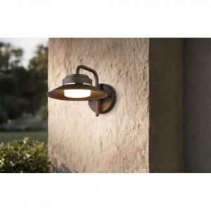 Facade luminaire Trio Lighting Atrato rustic G53 IP44