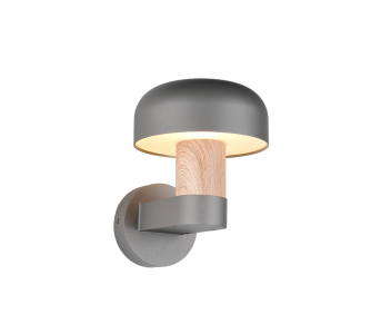 Facade luminaire Trio Lighting Fraser anthracite E27 IP54