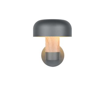 Fassaadivalgusti Trio Lighting Fraser antratsiit E27 IP54