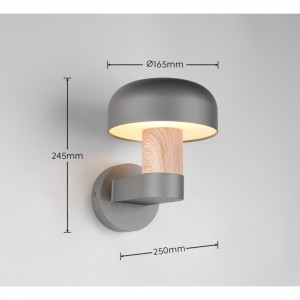 Fassaadivalgusti Trio Lighting Fraser antratsiit E27 IP54