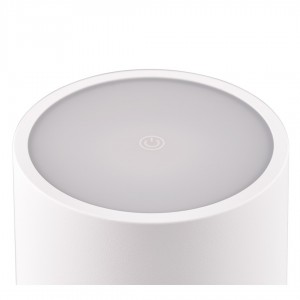 Rechargeable table lamp Trio Lighting Fernandez white 1,5W 130lm CRI80 IP54 2700K,4000K,6000K