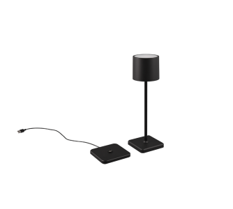 Ladattava pöytälamppu Trio Lighting Fernandez musta 1,5W 130lm CRI80 IP54 2700K,4000K,6000K