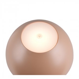 Rechargeable table lamp Trio Lighting Ricardo brown 1,7W 240lm IP54 3000K warm white
