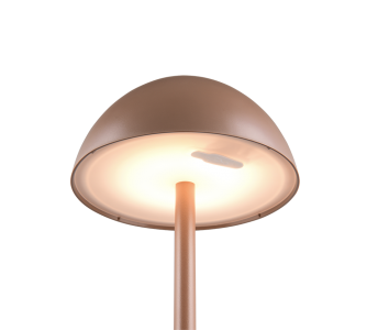Rechargeable table lamp Trio Lighting Ricardo brown 1,7W 240lm IP54 3000K warm white