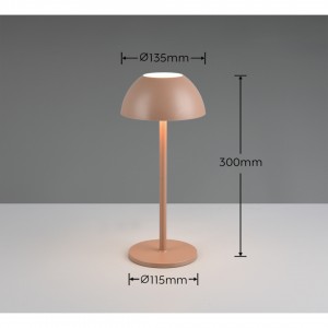 Rechargeable table lamp Trio Lighting Ricardo brown 1,7W 240lm IP54 3000K warm white