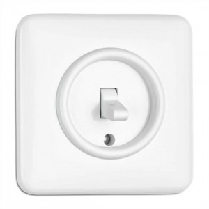 Switch THPG Toggle switch intermediate Duroplast white IP20