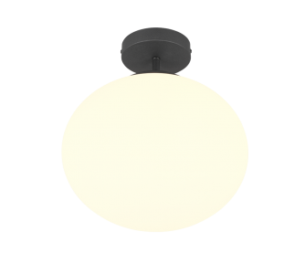 Laevalgusti Trio Lighting Fomento must / valge 230V E27 IP20