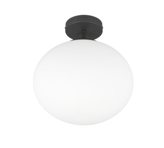 Laevalgusti Trio Lighting Fomento must / valge 230V E27 IP20