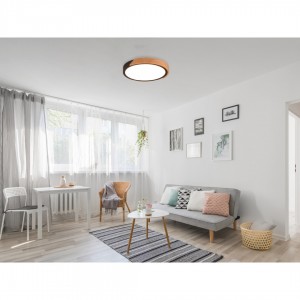 Laevalgusti Trio Lighting Jano matt must 2400lm IP20 switch dimmer 3000K soe valge