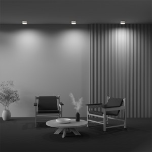 Plafoon Maytoni Zon valge 12W 660lm 120° IP20 930