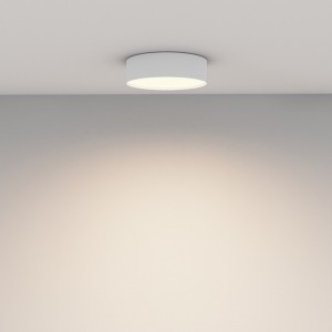 Plafoon Maytoni Zon valge 24W 1690lm 120° IP20 930