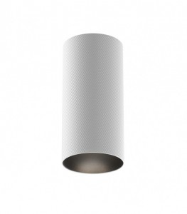 Spotlight Maytoni Artisan white round GU10