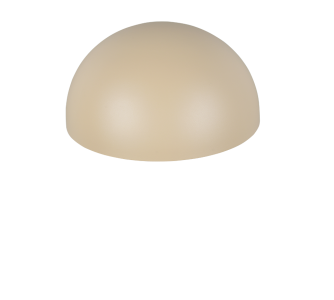 Fassaadivalgusti Trio Lighting Maas beež E27 IP44