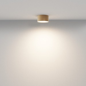 Ceiling lamp Maytoni Zon matte gold 12W 600lm 120° IP20 930