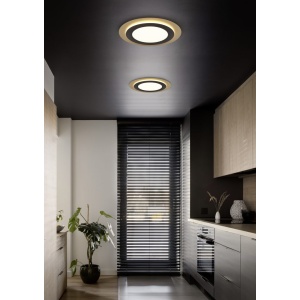 Ceiling lamp Trio Lighting Morgan black / golden 42W 5600lm IP20 DIMMABLE 2700K-6500K warm + cold  white