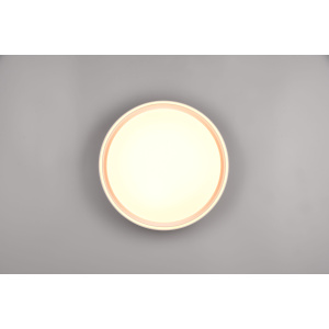 Плафон Trio Lighting Felis белый 24W 2500lm IP20 switch dimmer 2700K-6500K