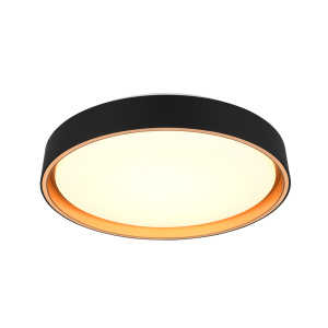 Dome light Trio Lighting Felis black 24W 2500lm IP20 switch dimmer 2700K-6500K warm + cold  white