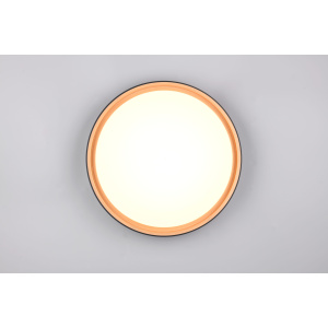 Plafondi Trio Lighting Felis musta 24W 2500lm IP20 switch dimmer 2700K-6500K