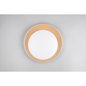 Dome light Trio Lighting Aleta white / golden 24W 2500lm IP20 switch dimmer 2700K-6500K warm + cold  white