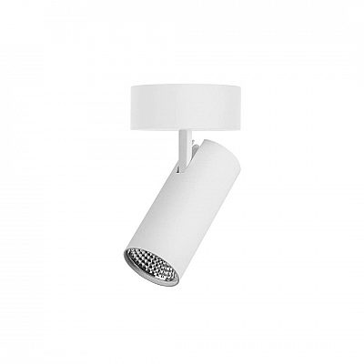 Spotvalaisin Karizma Luce Caro SF DTW Dali valkoinen 14W 1100lm CRI90 25° IP20 DALI 1800K - 3000K
