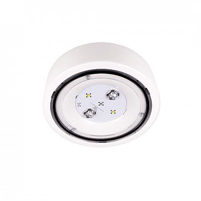 Emergency light INTELIGHT STARLET PROOF SO 250 NM 1H CT white round 1,7W 302lm IP66 750